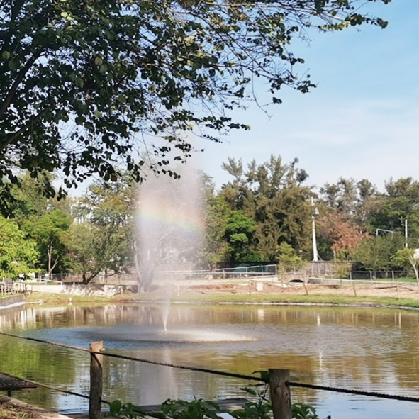 Parque Ávila Camacho